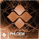 Phloem - Only Love EP